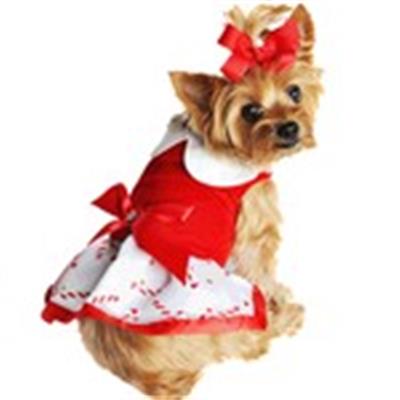Christmas Candy Cane Rhinestone Dog Dress with D-Ring and Leash