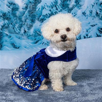 Holiday Blue Dog Harness Dress - Snowflakes