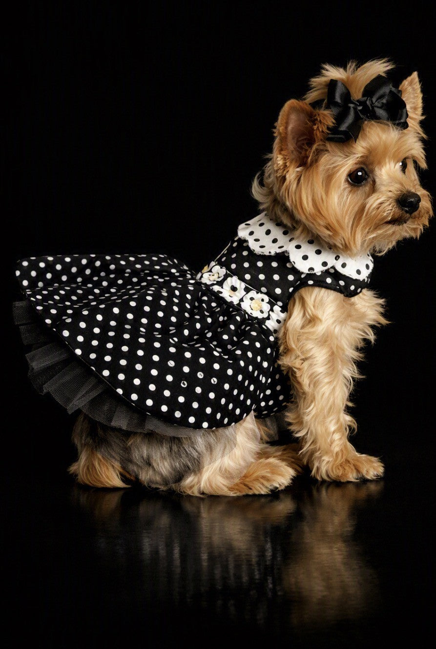Black and White Polka Dot Dog Dress w/Leash and D Ring