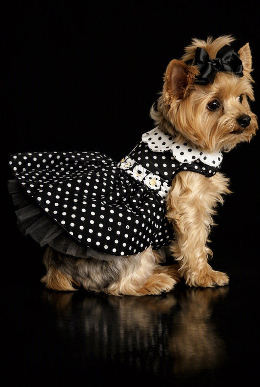Black and White Polka Dot Dog Dress w/Leash and D Ring
