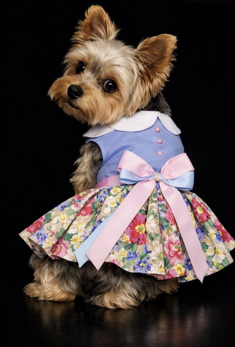 Blue and White Pastel Pearls Floral Dress with Matching Leash and D Ring