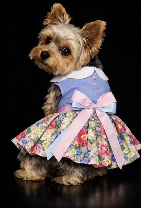 Blue and White Pastel Pearls Floral Dress with Matching Leash and D Ring