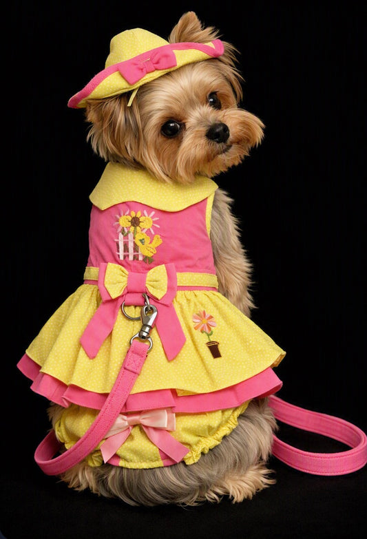 Little Chick Dog Dress, 4 Piece Set