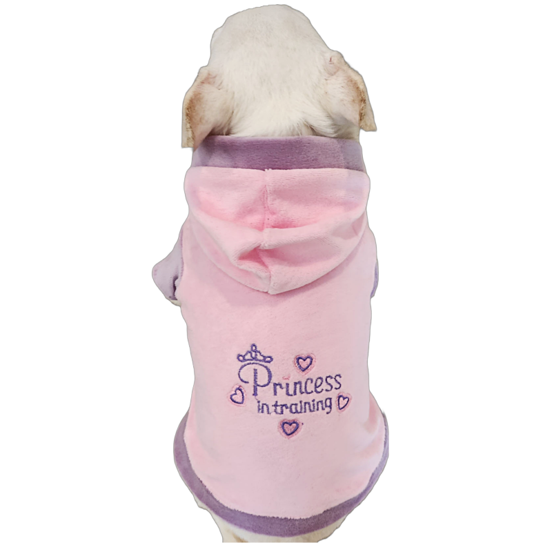 Princess in Training