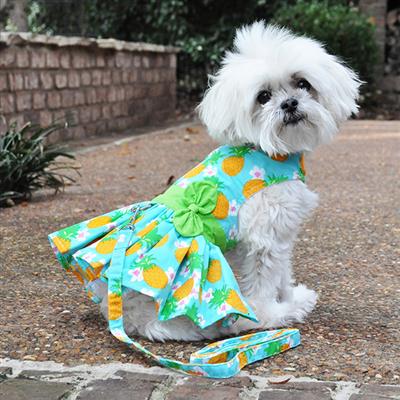 Pineapple Luau Dress w/ Leash & D-Ring