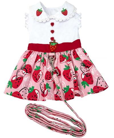 Strawberry Picnic Velcro Dress w/ Leash & D-Ring