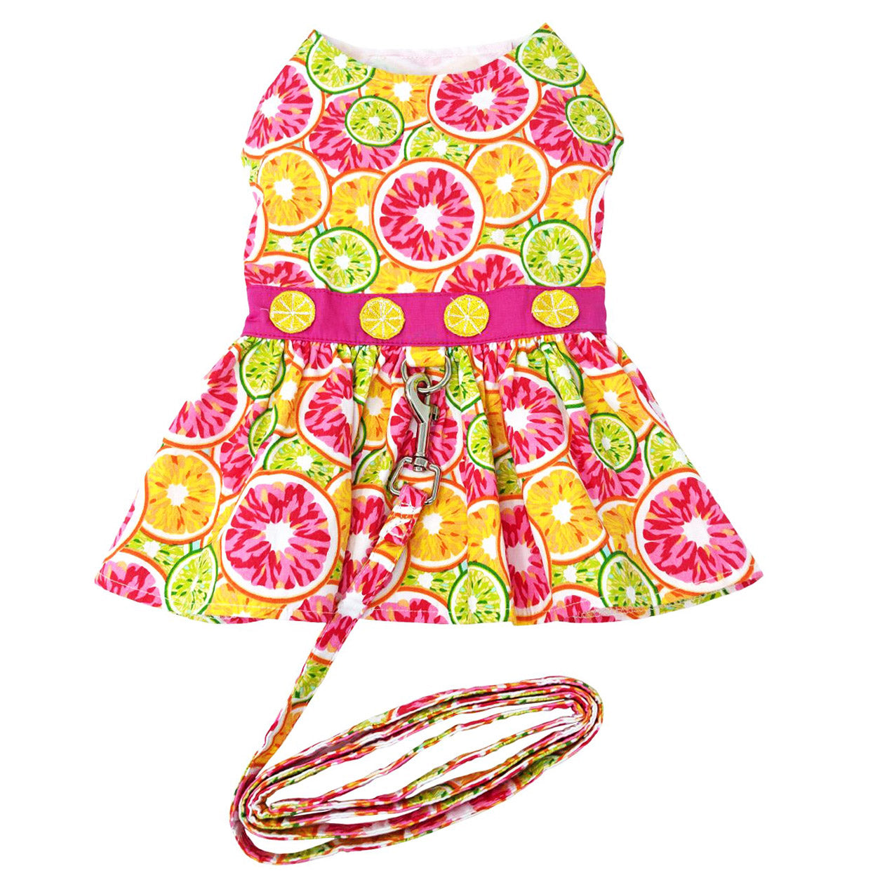 Citrus Slice Dog Dress with Matching Leash and D Ring