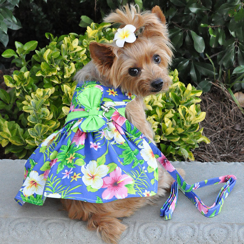 Blue Hibiscus Dog Dress w/Leash and D Ring