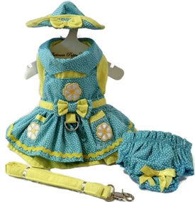 Crazy Daisy Dog Dress, 4 piece set