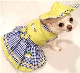 Garden Daisy Dog Dress, 4 Piece Set
