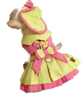Little Chick Dog Dress, 4 Piece Set