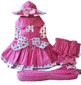 Strawberry Patch Dog Dress, 4 Piece Set
