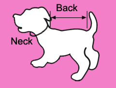 Betty Boop Movie Reel Ruffle Dog Dress