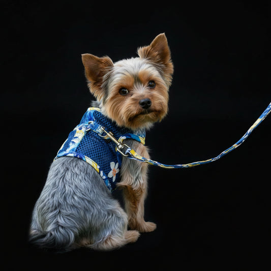 Cool Mesh Dog Harness with Leash - Catching Waves