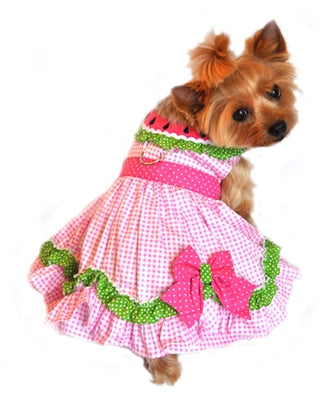 Watermelon Velcro Dress w/ Leash & D-Ring